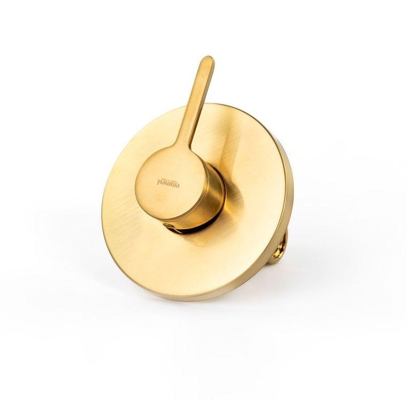 Встраиваемый смеситель для душа Emmevi Filobrass 85009/ORS, брашированное золото